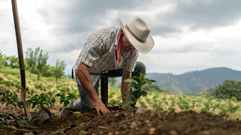 farmer image