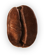 bean image